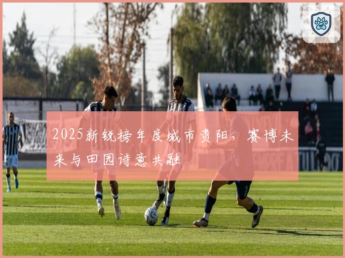 2025新锐榜年度城市贵阳，赛博未来与田园诗意共融